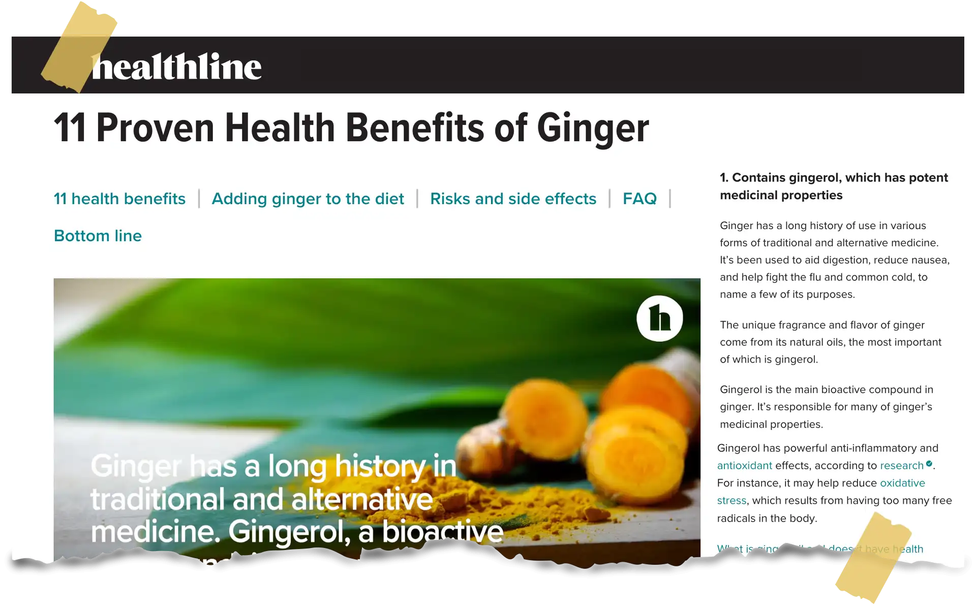 Ginger- The Power Ingredient For Gulpit - NEWS- HealthLine